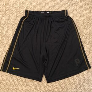 Nike Pirates Baseball Shorts
